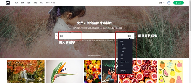 Pixabay 搜尋圖片頁面。