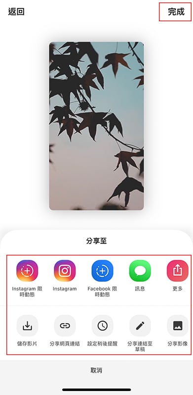 Mojo 提供的分享渠道。